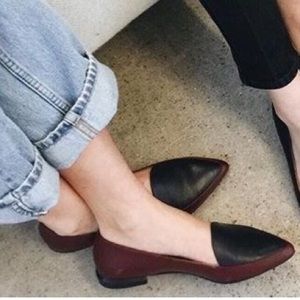 Everlane modern point loafers